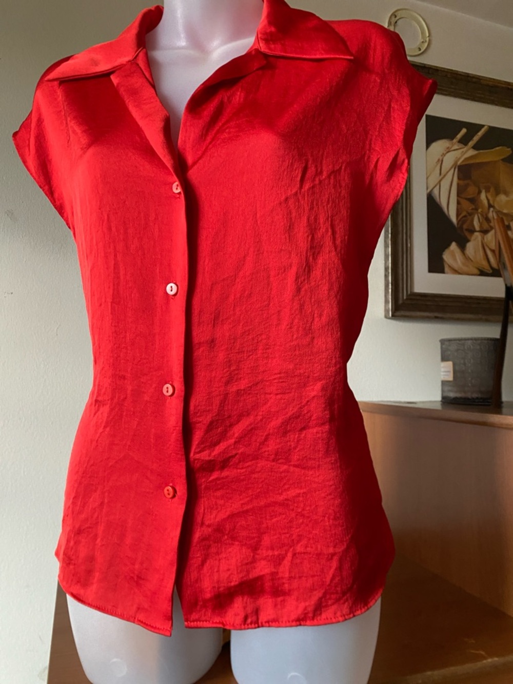 Mango Sleeveless Button Up Top